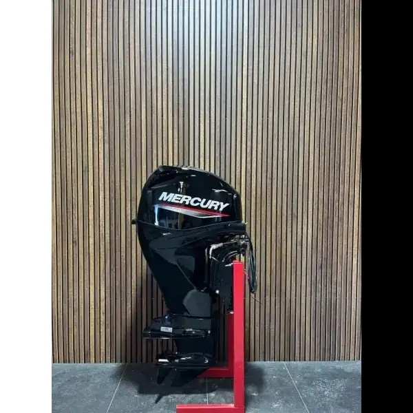 Mercury outboard motor