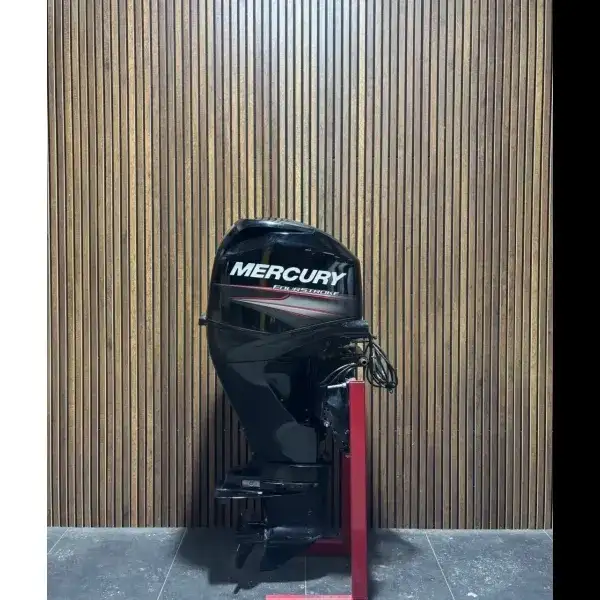 Mercury 60 HP EFI outboard engine