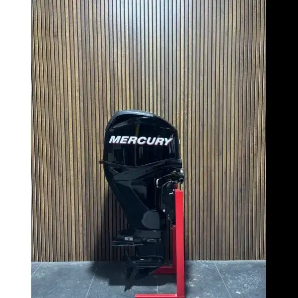 Mercry 60 HP EFI outboard engine