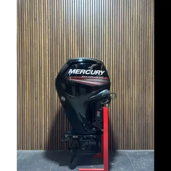Mercury 115 HP EFI ’18 outboard engine